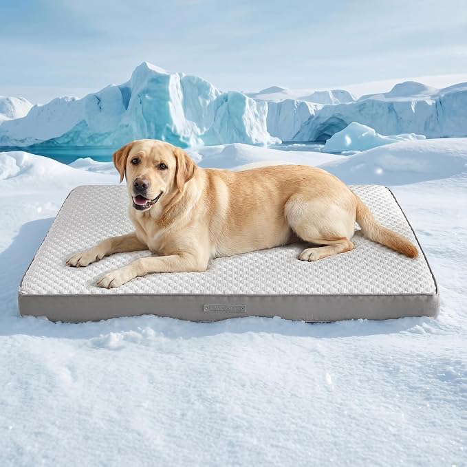 WDCOZY Orthopedic Cooling Dog Bed for Large Dogs, Q-Max>0.4 Breathable Summer Pet Mat with High Density Memory Foam, Removable Washable Cover, Non-Slip Dog Crate Bed for Pets Up to 90 lbs，41x27 Inch by WDCOZY