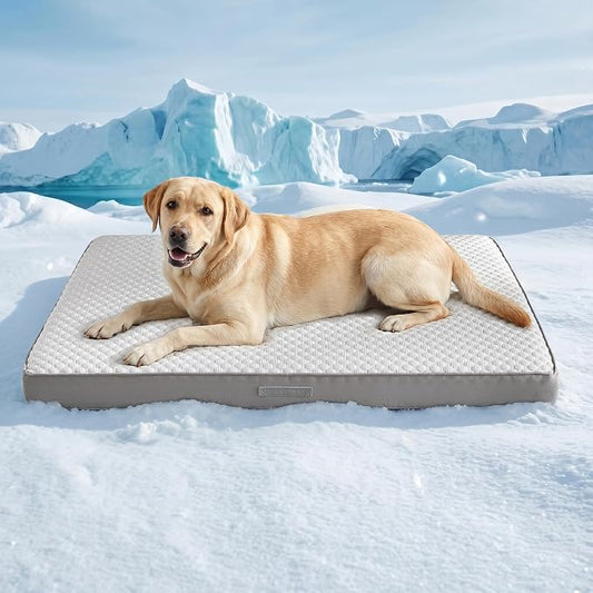 WDCOZY Orthopedic Cooling Dog Bed for Large Dogs, Q-Max>0.4 Breathable Summer Pet Mat with High Density Memory Foam, Removable Washable Cover, Non-Slip Dog Crate Bed for Pets Up to 90 lbs，41x27 Inch by WDCOZY