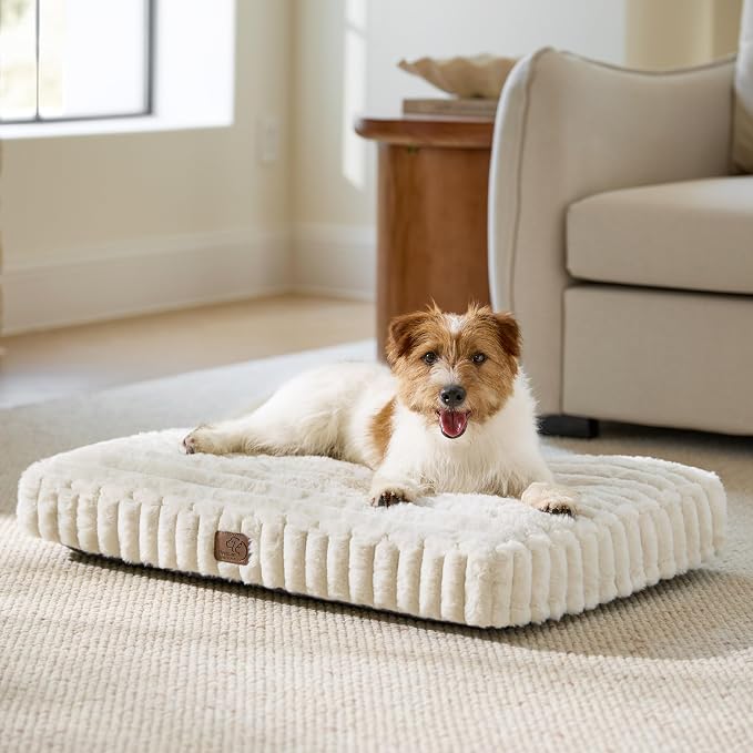 Bedsure ComfyFleece™ Fluffy Balanced Support,Dog Bed Medium Size Dog,30x20 | Golden Ratio Chopped Foam & PP Cotton, Upscale Home Decor,Waterproof Liner, Removable Washable Cover, Nonslip Bottom,Cream by Unknown