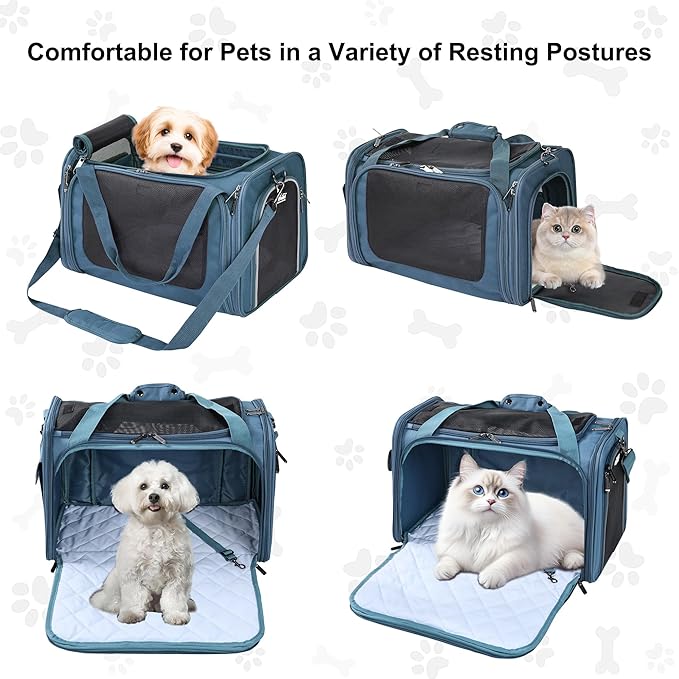 EliteField Deluxe Soft-Sided Pet Carrier (3 Year Warranty, Airline Approved), Travel Bag for Dogs, Cats & Small Pets, with Expandable Mat