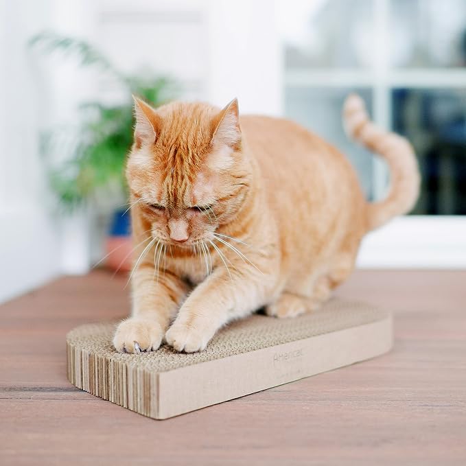 Cat Scratcher by Americat – Made in USA Cardboard Scratching Pad & Lounger – X Large, 2-Sided, Heavy, No-Shedding, Long-Lasting (Rectangle) - Image 3