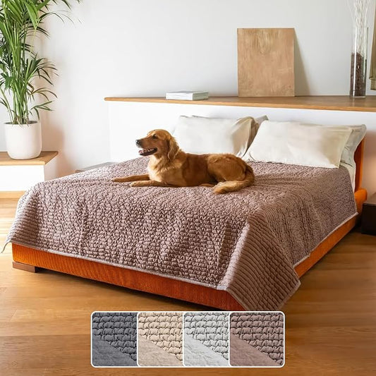 PAULATO BY GA.I.CO. Waterproof Blanket for Bed – Queen Absorbent Couch Cover – Machine Washable Stain-Proof Pad for Large Sofa – Pets Dogs & Cats Friendly Protector - Soft Taupe by PAULATOBYGAICO