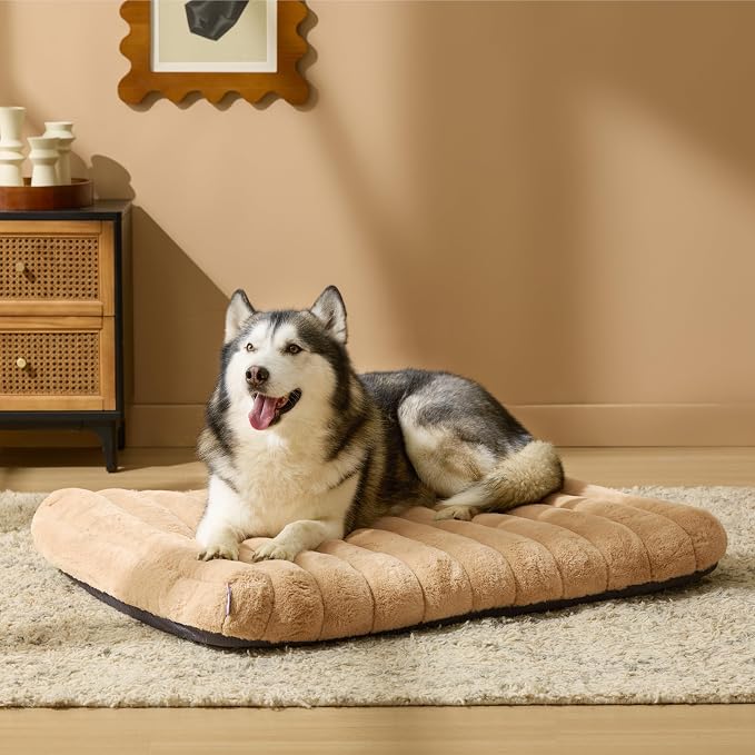 LE SURE Cute Orthopedic Dog Bed for Extra Large Dogs, XL Waterproof Chic Flat Pet Beds with Removable Washable Cover, Fuzzy Thick Egg Crate Foam Pet Mat for Indoor Use (44" x 32", Beige) - Image 2