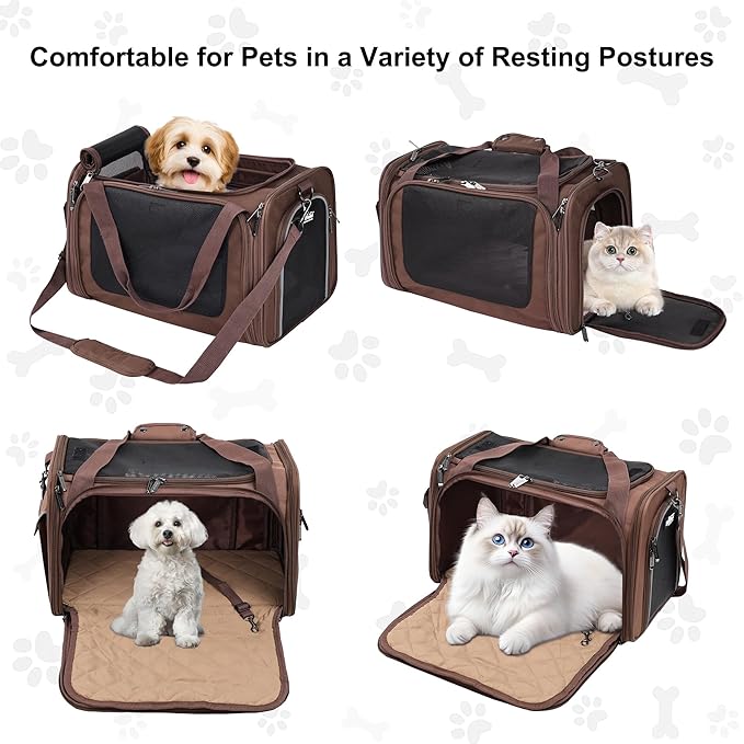 EliteField Deluxe Soft-Sided Pet Carrier (3 Year Warranty, Airline Approved), Travel Bag for Dogs, Cats & Small Pets, with Expandable Mat