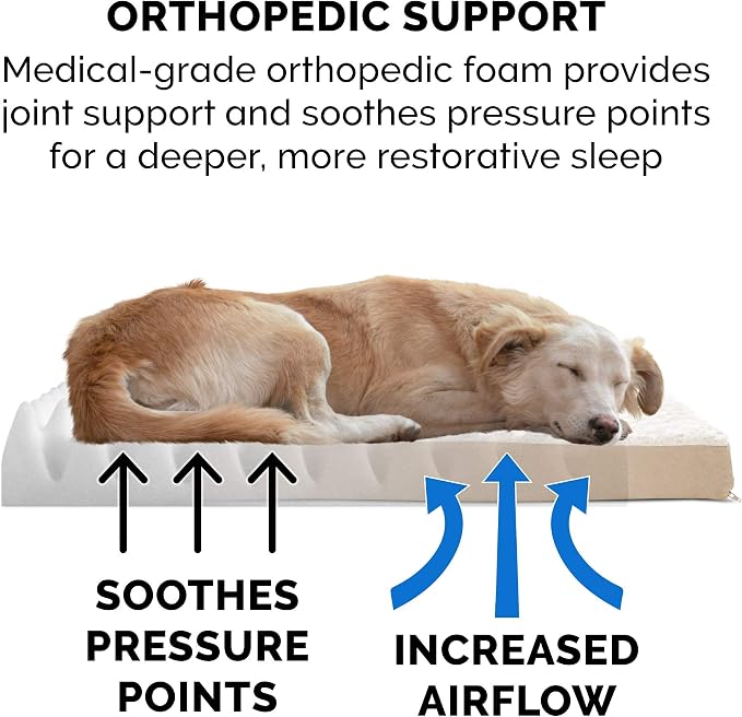 Furhaven Orthopedic Dog Bed for Large Dogs w/ Removable Washable Cover, For Dogs Up to 95 lbs - Ultra Plush Faux Fur & Suede Mattress - Cream, Jumbo/XL - Image 5