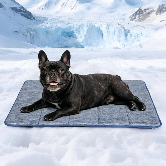 Dog Cooling Mat for Large Dogs – 30"x20" Orthopedic Memory Foam Pad for Summer, Hot Weather & Joint Relief | Washable, Non-Slip Crate Mat for Senior Dogs, Travel & Home (Wander Blue) by ZAKAPAWS