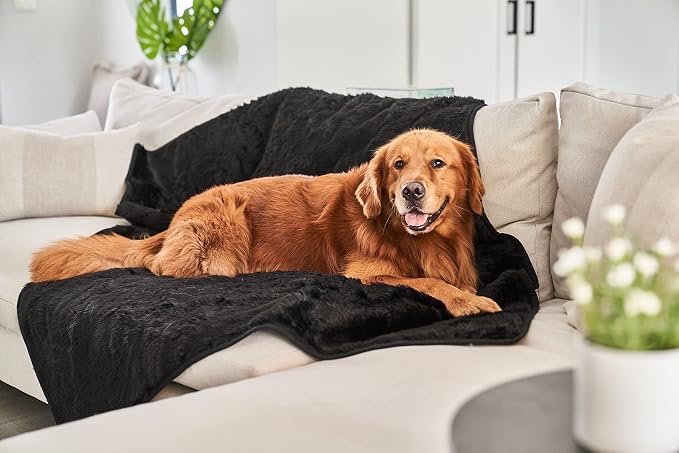 PAW BRANDS PupProtector Waterproof Throw Blanket, Midnight Black, 80x62 | Waterproof, machine washable — protects couches, beds & car seats - Image 6