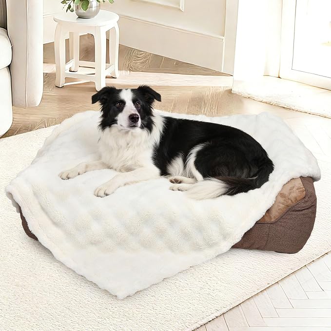 Dog Blankets Washable Pet Blanket - Fluffy Fuzzy Cat Puppy Blanket with Premium 300GSM 3D Fleece Bubble for Pet Kitten Doggy, Cream, 30x40IN by ZAKAPAWS