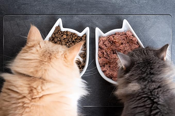 Pet Bowl Mat, USA Made, Safe, Waterproof, 16 x 24 Inch, 2mm Thick Smooth Vinyl, Clear Litter Box Protection Mat, Under Tank Liner - Image 5