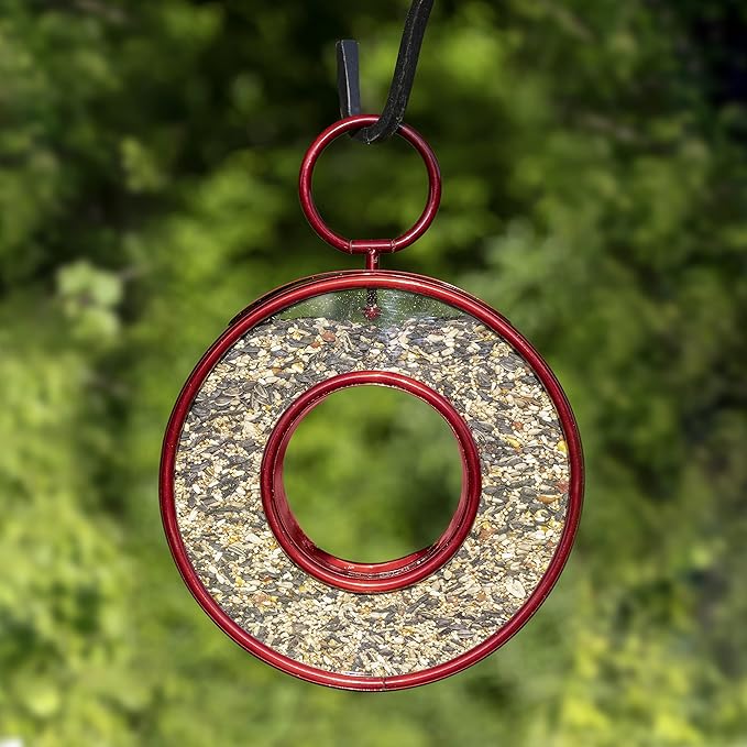 Good Directuions Fly Thru Red Bird Feeder with Plexiglass