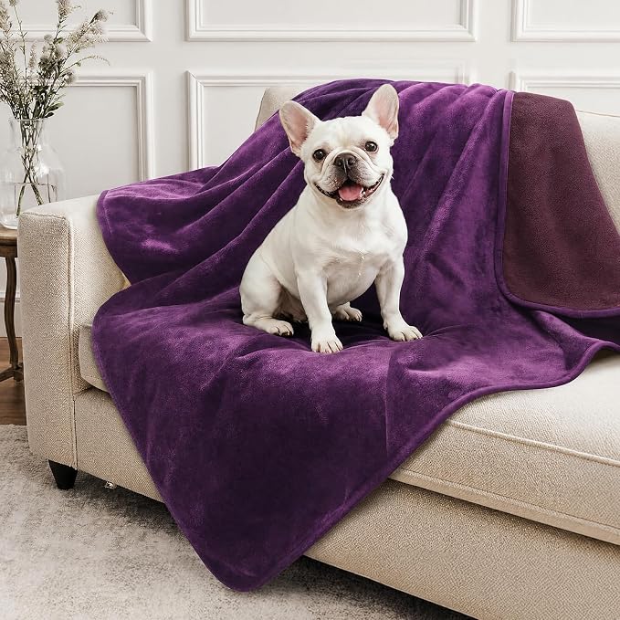 LOOBANI Waterproof Dog Blanket for Small Dogs, Pet Blanket 30" x 40" Purple | Double Side Liquid-Proof, Puppy Blanket for Dog Cat Bed, Crate, Playpen, Reversible Soft Flannel Couch Cover Throw by LOOBANI