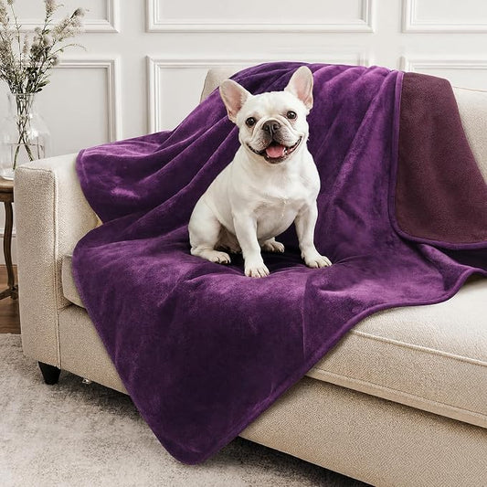 LOOBANI Waterproof Dog Blanket for Small Dogs, Pet Blanket 30" x 40" Purple | Double Side Liquid-Proof, Puppy Blanket for Dog Cat Bed, Crate, Playpen, Reversible Soft Flannel Couch Cover Throw by LOOBANI