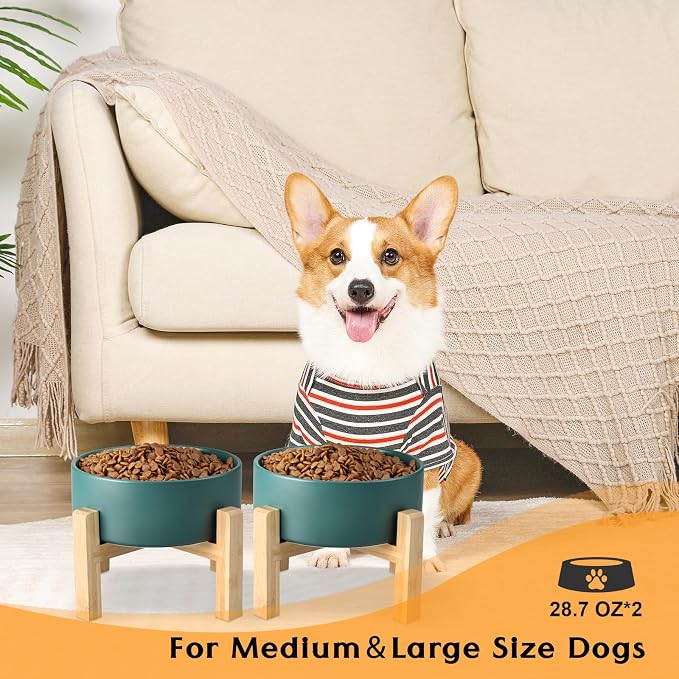 SPUNKYJUNKY Ceramic Elevated Dog Bowls 2 Pack - 6.1inch Raised Dog Bowls with Non-Slip Wooden Stand for Medium Dogs Dishwasher Safe(Green,28.7OZ*2) - Image 7