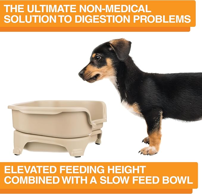 Neater Feeder Express Mess Proof Dog Bowls Elevated for Small Breed – Made in USA – No Spill Raised Slow Feeder Elevated Dog Bowl Stand, Stainless Steel Food and Water Bowl Set, Almond - Image 6
