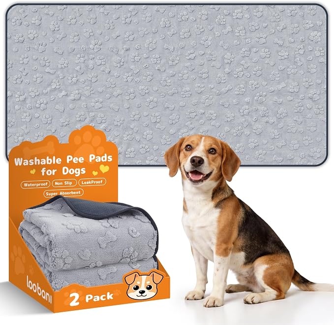 LOOBANI Reusable Pee Pads for Dogs Extra Large,36"x72", Gray | Non-Slip Washable Dog Mat For Hallway Runner, Floor, Bed, Fast Absorbent, Non-Slip, Waterproof, Leakproof by LOOBANI