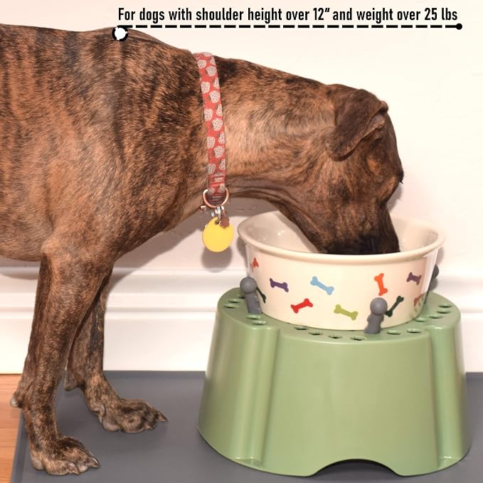 My Bowl Stand | 5” Elevated Stand for Any Dog Bowl up to 7.5” Width, Made in USA, Lift Your Pet’s Food or Water, Reduces Joint Strain, Sturdy + Washable + Stackable, Adjustable Raised Feeder - Image 4