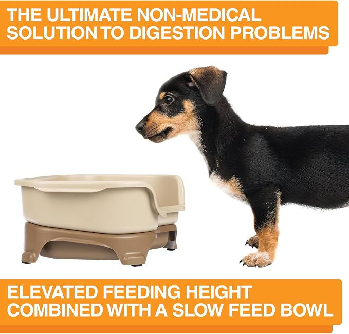 Neater Feeder Express Mess Proof Dog Bowls Elevated for Small Breeds Under 15 Lb, Made in USA, No Spill Raised Dog Food Bowl Stand, Stainless Steel Slow Feed and Standard Water Bowl Set, Cappuccino - Image 6