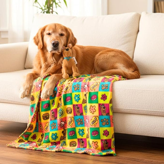 Scooby Doo Pet Throw & Squeaky Pillow Set, Stimulating Toy As Gifts for Puppies, Cats, Dogs, (Officially Licensed) By Franco by Franco