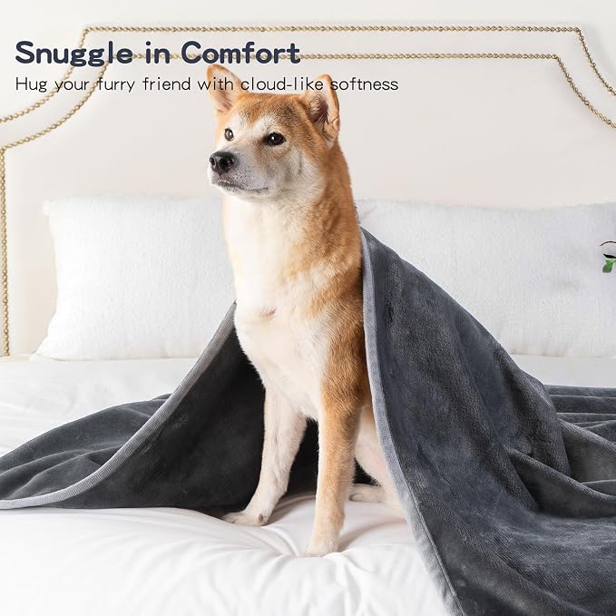 Waterproof Pet Blanket for Small Dogs and Cats | Reversible Flannel Fleece Throw Blanket for Sofa Couch Puppy Leakproof, Washable Furniture Protector 30"x40",Dark Grey - Image 5