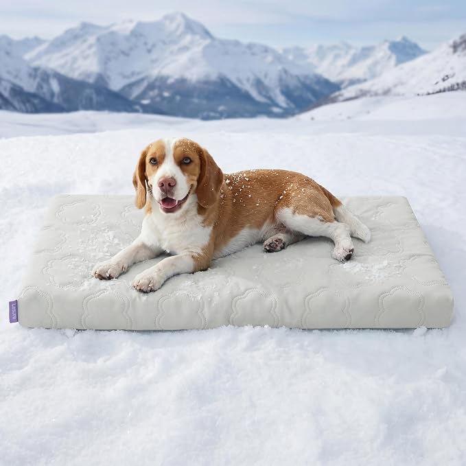 LE SURE ApexCloud™ Cooling Dog Bed for Large Dogs with Washable Cover,35IN | Q-Max>0.5 Cool-Touch Fabric, Orthopedic Egg Crate Foam,Breathable Non-Slip Summer Mat,For Active Senior Long-Haired Pets,Grey by Lesure