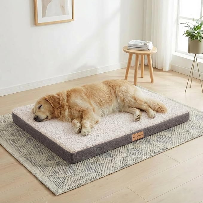 Patas Lague Orthopedic Large Dog Bed Washable Pet Sofa Mat 42''X28'' Ivory | Egg-Crate Foam Dog Couch For Large Sized Dogs, Waterproof Removable Cover, Soft Pet Crate Bed With Nonskid Bottom by PatasLague
