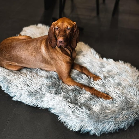 Faux Fur Orthopedic Dog Bed, Memory Foam, Grey 50"x30" | Plush Washable Dog Rug with Waterproof Machine Washable Cover, Calming for Anxious Senior Dogs, Relieves Joints by iHappyDog