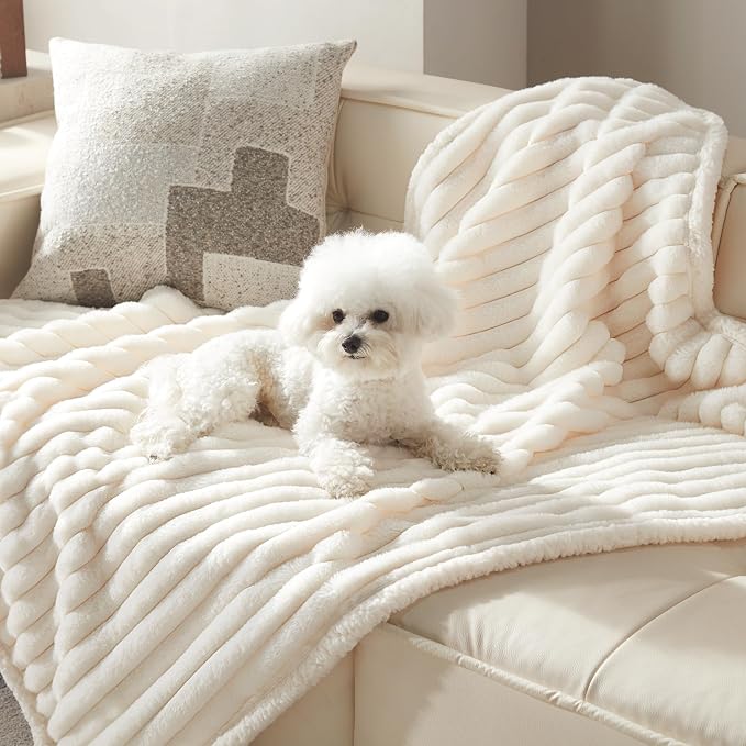 Waterproof Dog Blanket for Small Dogs, Corduroy Fleece Pet Blanket Washable, Dual-Sided Puppy Cat Blankets for Furniture Protection, Cozy Calming Couch Blanket for Doggy, 25"x35", Cream by WARMREST