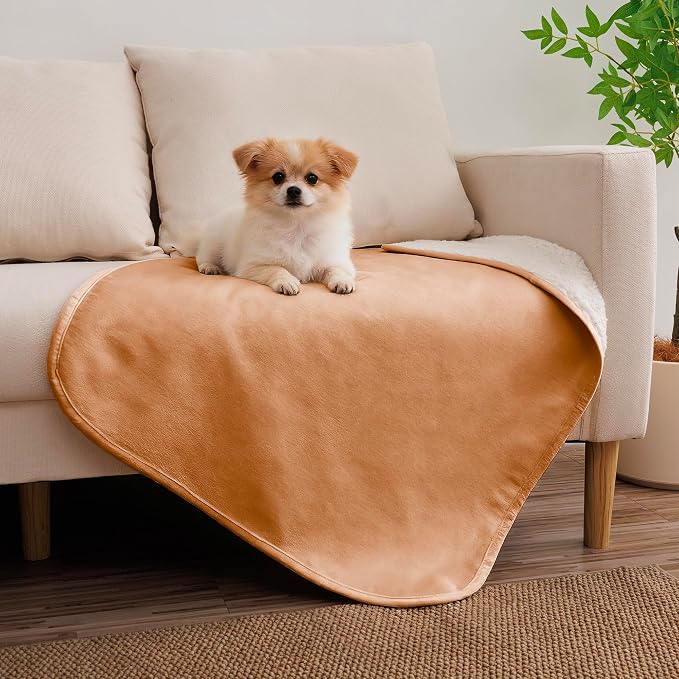 Waterproof Blanket for Dogs - Pet Throw as Furniture Protector | Cozy Sherpa & Smooth Velvet, Reversible and Machine Washable, for Couch, Bed, or Travel, 25"x35", Orange by TuffeelHome
