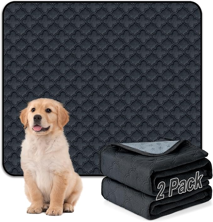 FunFurry Washable Pee Pads - 2 Pack Reusable, Waterproof, Super Absorbent Dog Training Pads with Non-Slip Backing (Dark Grey, 41" X 41") by FUNUPFURRYLIFE