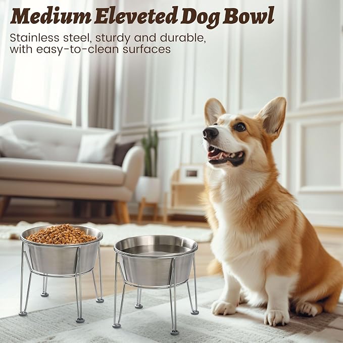 Elevated Dog Bowls for Medium&Small Dogs - Stainless Steel 48oz/6 Cups Raised Feeder with Non-Slip Base, Dual Food & Water Bowls 2-Pack - Image 6
