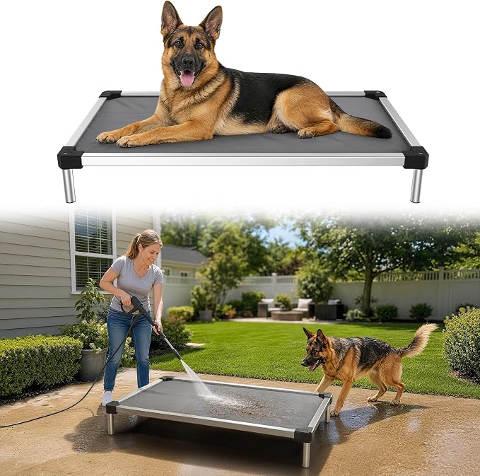 FXW TitanNest Padded Chew-Proof Elevated Dog Bed for Large Dogs | Easy to Clean, Pre-assembly Raised Cot, Indoor/Outdoor/Camping, 47 x 29 x 7.3in by FXW