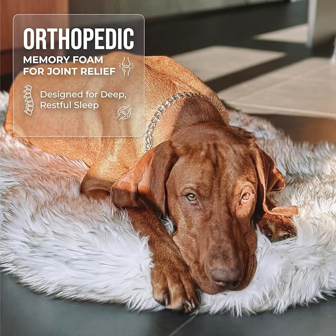 Faux Fur Orthopedic Dog Bed, Memory Foam, White w/Brown Tips 60"x35" | Plush Washable Dog Rug with Waterproof Machine Washable Cover, Calming for Anxious Senior Dogs, Relieves Joints - Image 3