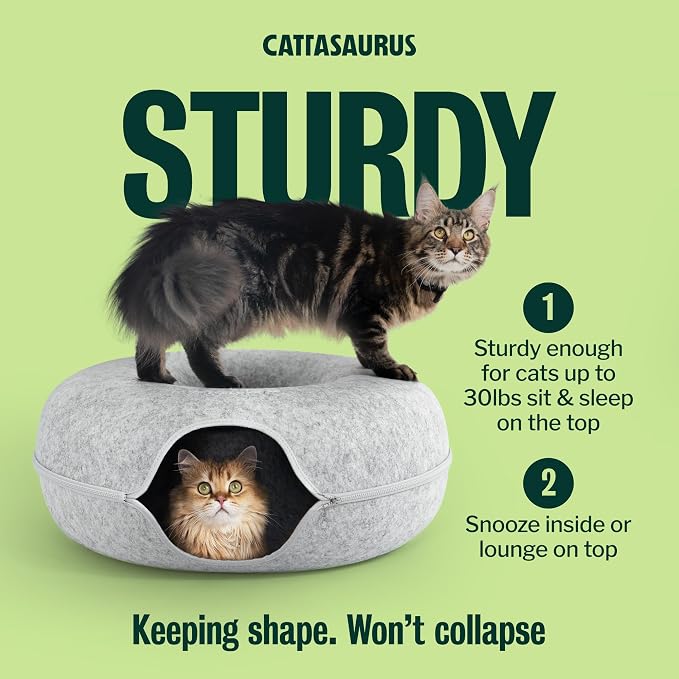 Cattasaurus Peekaboo Cat Cave Duo Jumbo Set, Extra Spacious Cat Donut for Multiple & Large Kitty 15+ lbs, Scratch Detachable Cat Beds for Indoor Cats, Washable Cat Tunnel Bed, Best Kitten Toys - Image 7