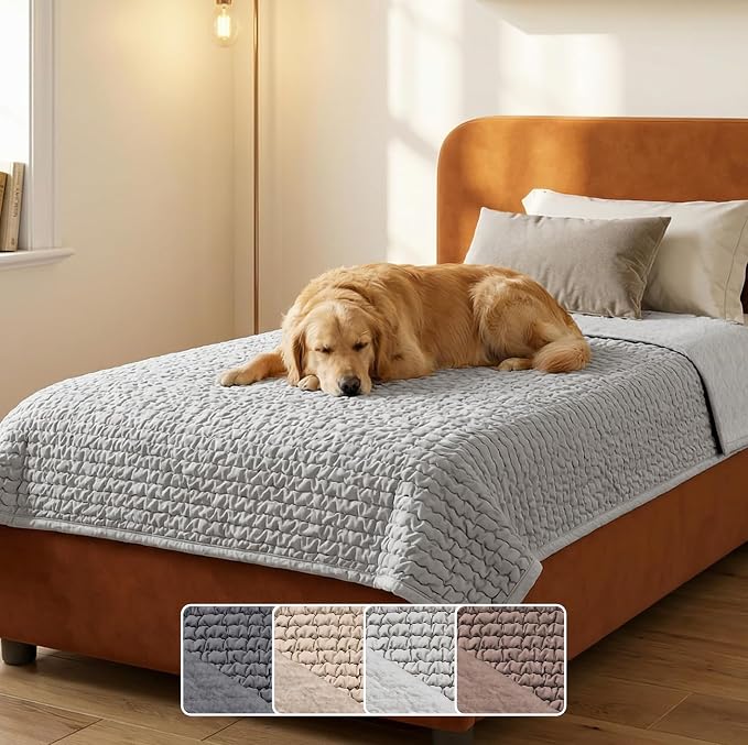 PAULATO BY GA.I.CO. Waterproof Blanket for Bed – Twin Size Cover for Incontinence – Machine Washable Stain-Resistant Protector for Couch and Sofa – Absorbent Pad - Light Grey by PAULATOBYGAICO
