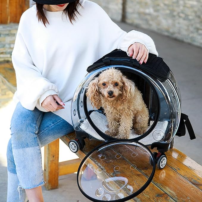 Pet Trolley Case with Upgraded Detachable Silent Wheels, Clear Ventilation Holes Cat Dog Carrier, Cat Dog Carrier with Telescopic Handle, Perfect for Traveling/Taking a Walk Black