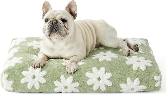 LE SURE Cute Aesthetic Bed Medium Size Dog,Jacquard Thick Pet Pillow 30x20 | Shredded Chopped Foam,Modern Plush Crate Cushion Gift for Medium Size Dog, Waterproof Washable Cover, Nonslip Bottom, Green by Lesure