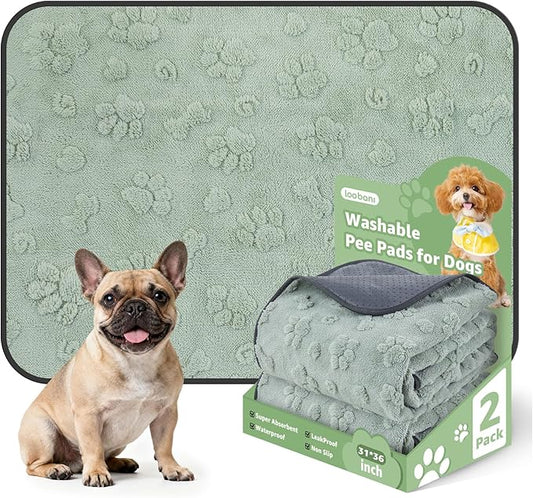 LOOBANI Washable Pee Pads for Dogs,2 Pack Reusable Puppy Pads 31"x36" | Super Absorbent, Waterproof, Leakproof, Non Slip, Soft, For Whelping, Potty Training, Crates, Floors, Beds, Couches, Travel by LOOBANI