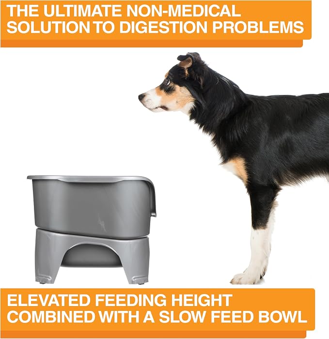 Neater Feeder - Express Model w/ Slow Feed Bowl - Mess-Proof Dog Bowls (M/L, Grey) Made in USA – Elevated, No Spill, Non-Tip, Non-Slip, Raised Stainless Steel Food/Water Pet Bowls Aid Digestion - Image 7