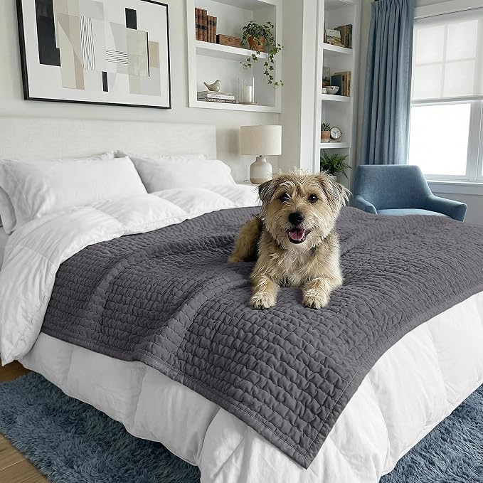 PAULATO BY GA.I.CO. Waterproof Blanket for Bed – Queen Absorbent Couch Cover – Machine Washable Stain-Proof Pad for Large Sofa – Pets Dogs & Cats Friendly Protector - Dark Grey - Image 2