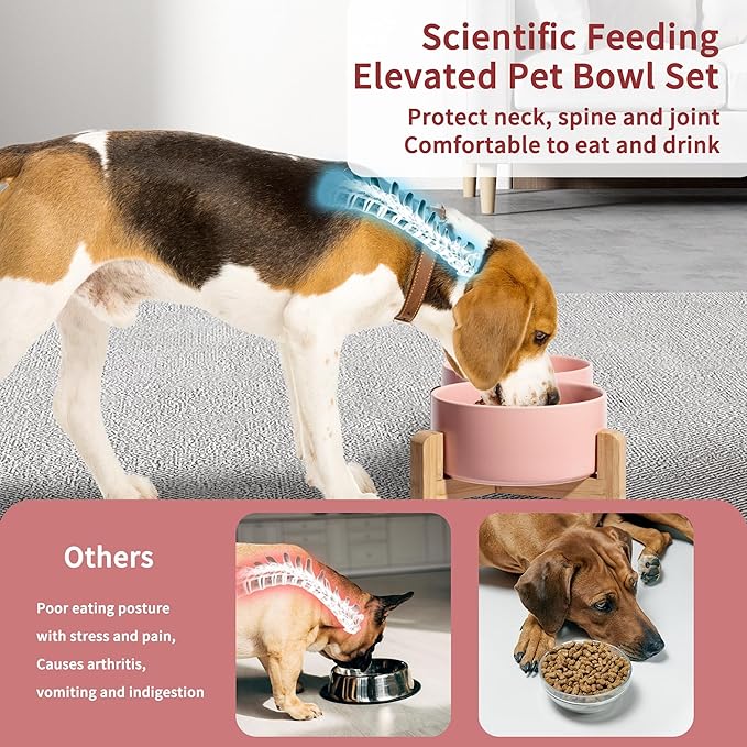 Elevated Ceramic Dog Bowl, 3.6 Cups Dog Food and Water Bowl Set with Stand | 6.1'' Double Dog Feeding Dishes, Non-Slip Raised Dog Feeder for Small and Medium Breeds, 28.74 OZ / 850 ML, White - Image 4