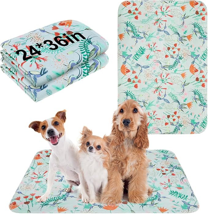 BEAUTYZOO Reusable Puppy Pads,Washable Pee Pads for Dogs,Non Slip Wee Wee Pad for Potty Training,Thick Heavy Absorbent Underpads for Playpen,Bed,Sofa,Crate,Whelping,Travel & Outdoor Spring, 24" x 36" by BEAUTYZOO