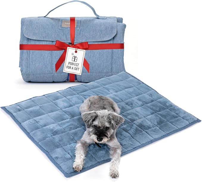 KindTail Nomad Nap Mat - Travel Dog Bed - Machine Washable, Water-Resistant Dog Mat for Pets up to 50 lbs - Lightweight, Portable Pet Bed with Carry Handle - Folds to 14 x 9 x 5 (1.5 lbs, Blue) by KindTail