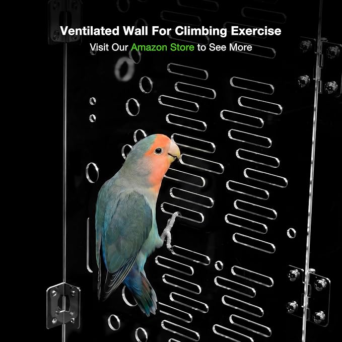GuineaLoft™ Model-ET223 Acrylic Bird Cage – 2×2×3 ft Mid-Sized Tall Cage, Crystal Clear, Stainless Steel Mesh Top & Bottom, Dual Side Doors, Reusable Canvas Bottom – Visit the GuineaLoft Store - Image 6
