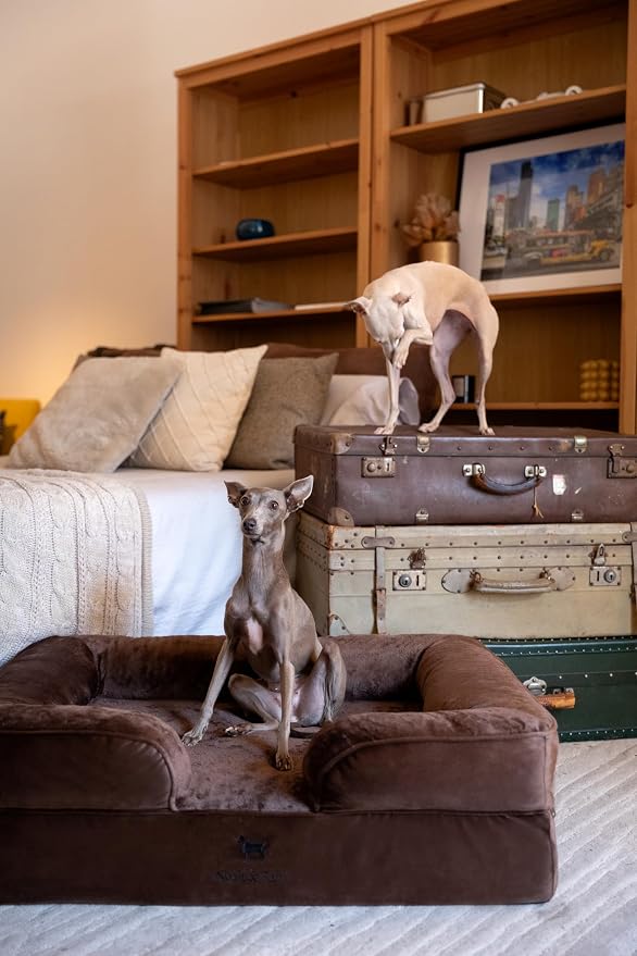 NOAH & PAW Large Dog Bed, 35x25x11 Inch, Orthopedic Dog Beds, Eggshell Memory Foam Infused with Cooling Gel, Inner Cover, Water Resistant, Machine Washable (Velvet Sofa Collection) - Image 2
