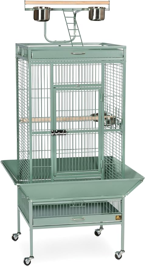 Prevue Pet Products Wrought Iron Select Bird Cage - Large Steel Cage with Rolling Stand, Seed Guards, and Playtop, Durable Design, Ideal for Conures and Medium Birds - Sage Green by PrevuePetProducts