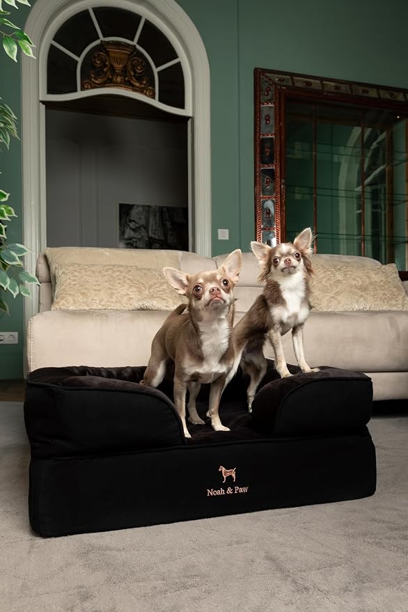 NOAH & PAW Dog Bed, 28x23x11 Inch, Orthopedic Dog Beds for Medium Size Pets, Eggshell Memory Foam Infused with Cooling Gel, Inner Cover, Water Resistant, Machine Washable (Denim Sofa Collection) - Image 2
