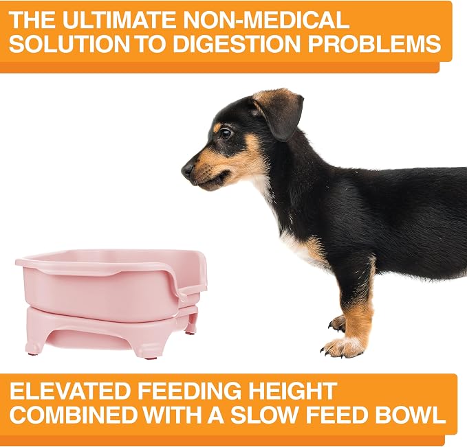 Neater Feeder Express Mess Proof Dog Bowls Elevated for Small Breed – Made in USA – No Spill Raised Slow Feeder Elevated Dog Bowl Stand, Stainless Steel Food and Water Bowl Set, Pink - Image 6