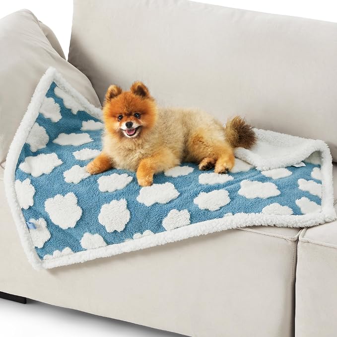 LE SURE Waterproof Dog Blankets for Small Dogs Cute Cozy 3D Jacquard,25x35 | Puppy Blanket for Cat Aesthetic Gift, Warm Soft Sherpa Throw Washable, Reversible Pet Couch Protector, Clouds Blue - Image 2