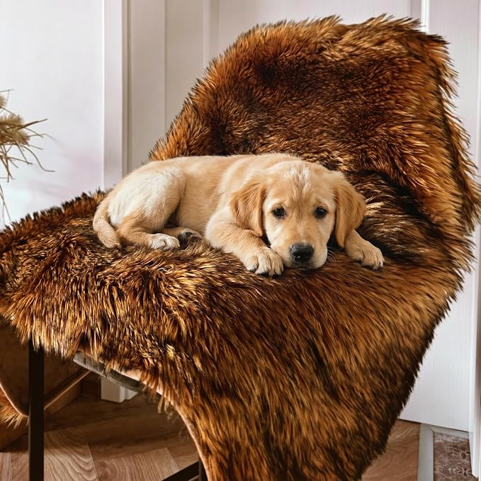 IHAPPYDOG Faux Fur Dog Blanket, Waterproof Couch Cover, Brown 80"x60" | Plush Sheepskin Style Pet Throw for Sofa, Bed, and Car, Washable Furniture Cover that Protects From Fur and Spills - Image 5