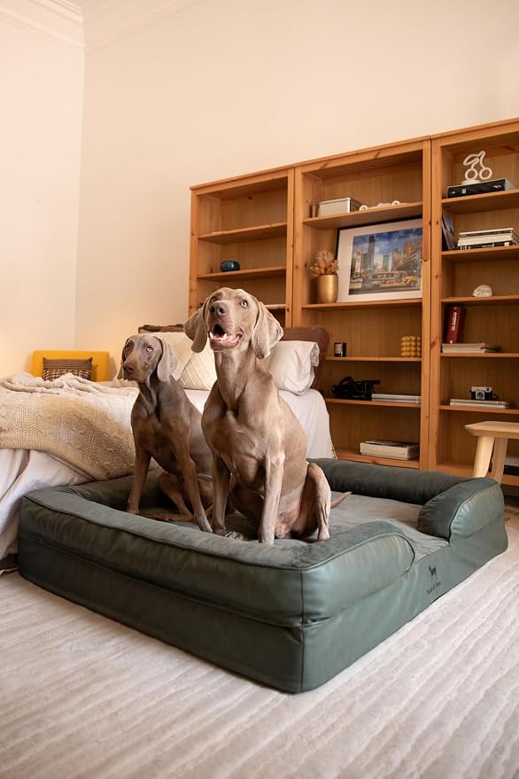 NOAH & PAW Giant Dog Bed XXL, 55x45x11 Inch, Orthopedic Dog Beds, Eggshell Memory Foam Infused with Cooling Gel, Inner Cover, Water Resistant, Machine Washable (Faux Leather) - Image 3